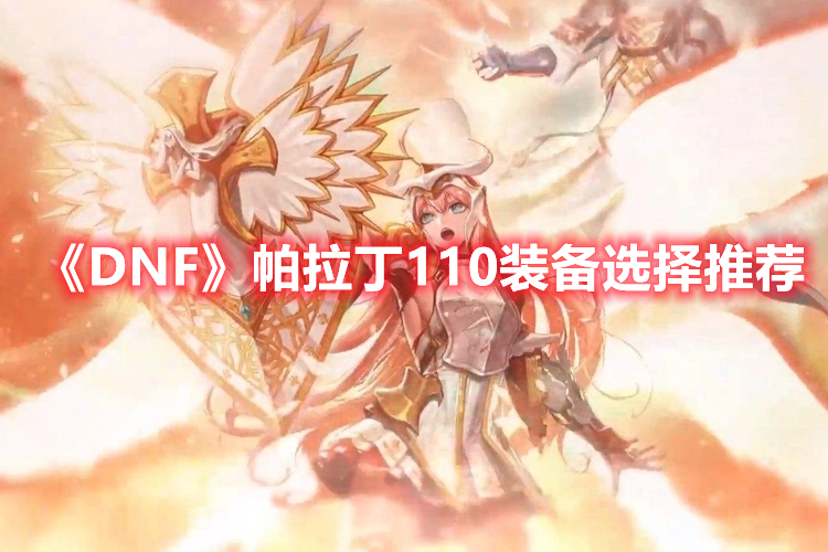 《DNF》帕拉丁110装备选择推荐
