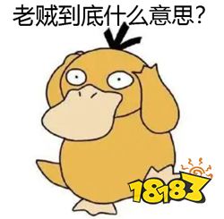 我们错怪富坚了?「全职猎人」连载记录竟隐藏着一个真相……