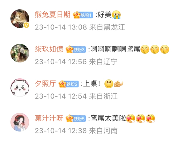 《以闪亮之名》新版本体验:鸢尾是怎么做到悄悄惊艳所有人!
