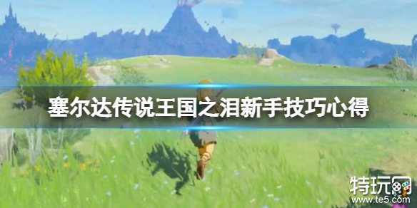 塞尔达传说王国之泪新手怎么玩 王国之泪新手技巧攻略