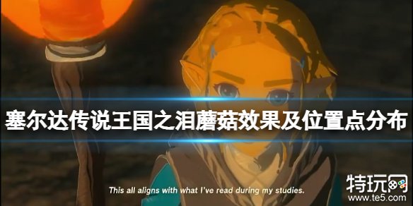 塞尔达传说王国之泪蘑菇在哪 王国之泪全蘑菇位置一览