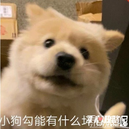 修勾什么梗